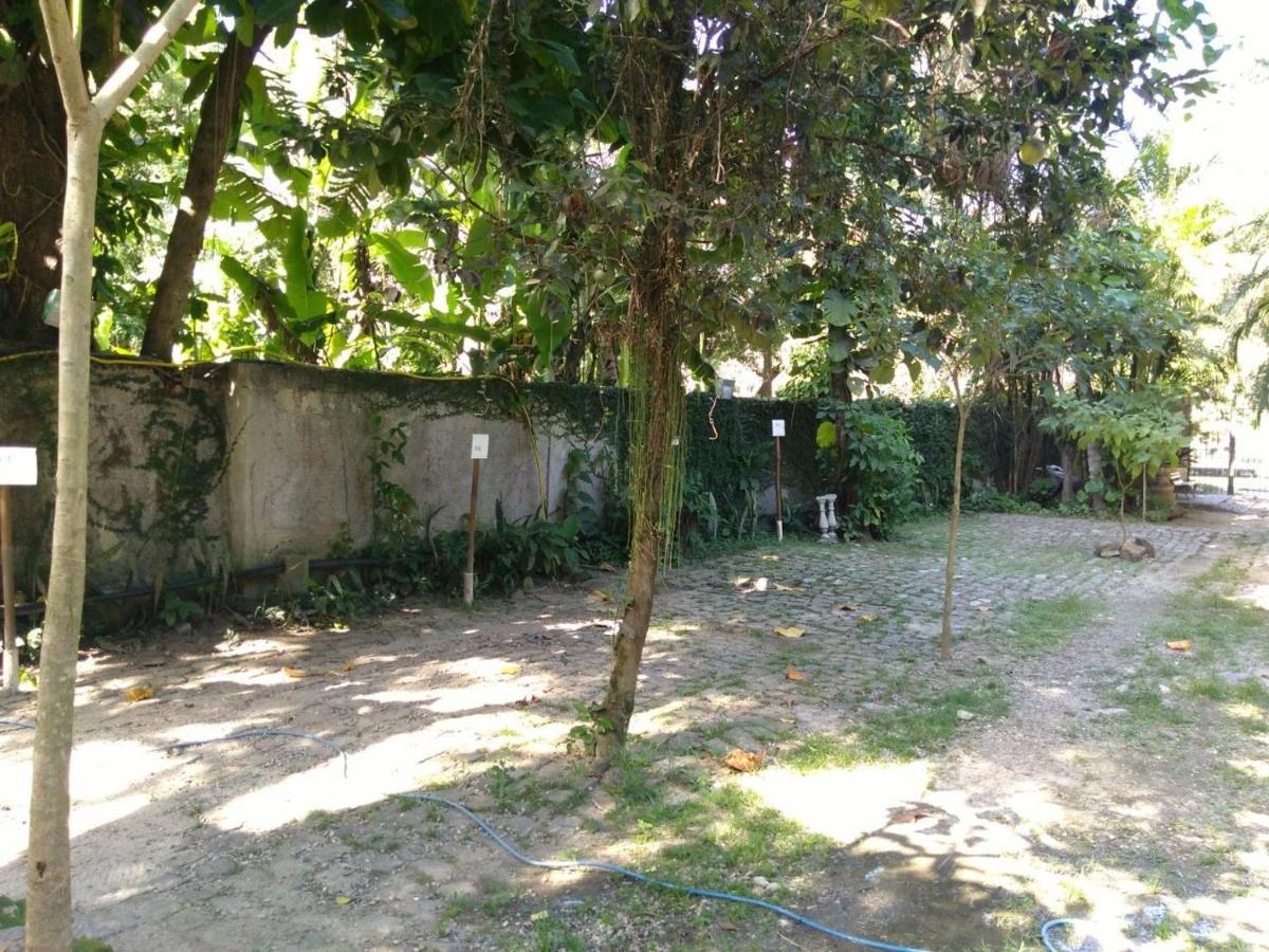 Rio Natureza Apart 111 Rio de Janeiro Eksteriør billede